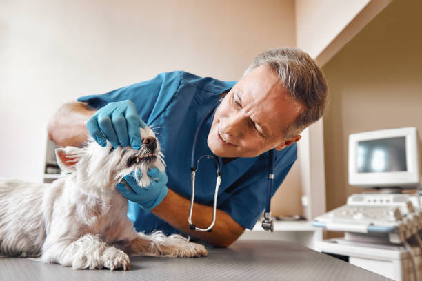 Best After-Hours Emergency Dentist in Triangle, VA